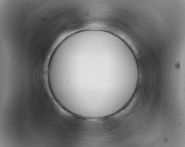 X0000102821478200808181013