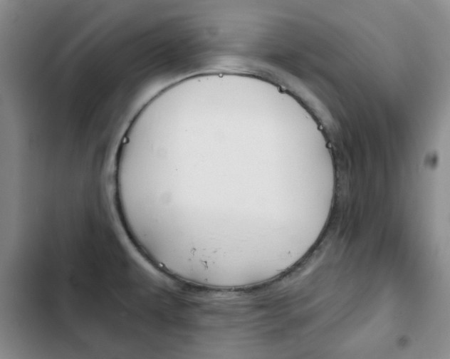 X0000102821479200808181013