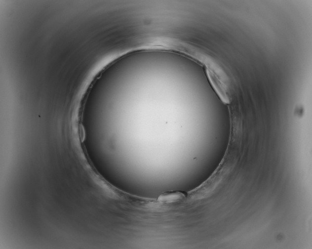 X0000102821480200808181013