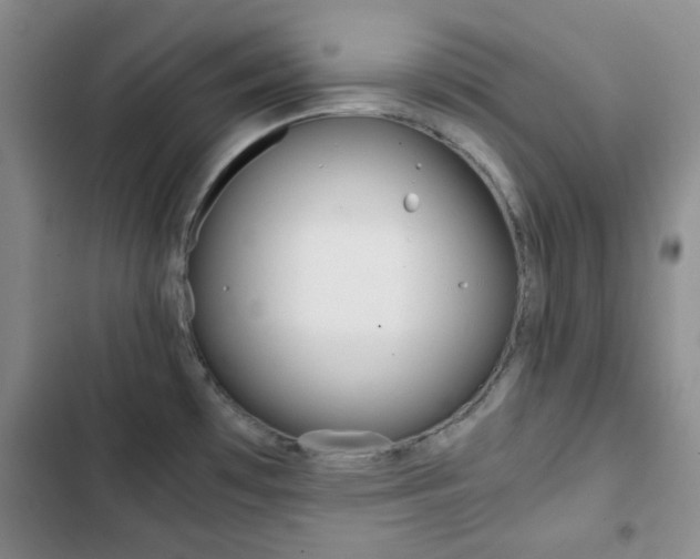X0000102821481200808181013