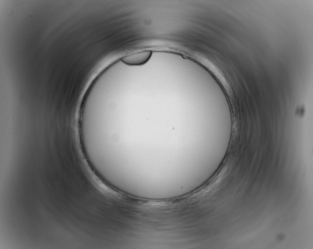 X0000102821482200808181013