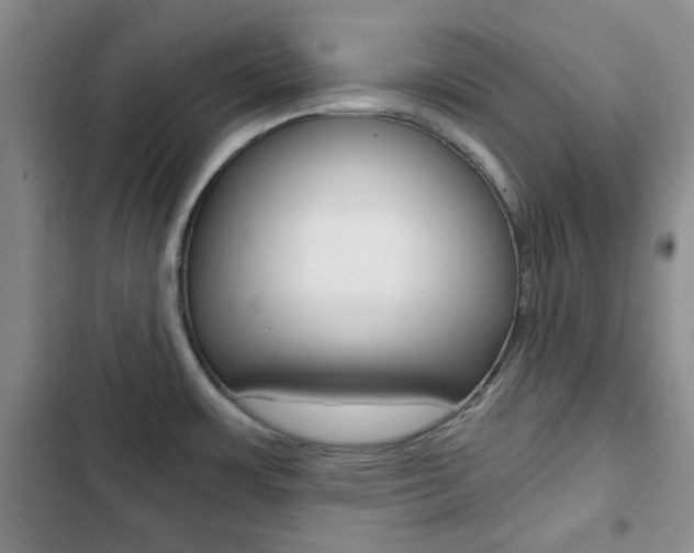 X0000102821483200808181013