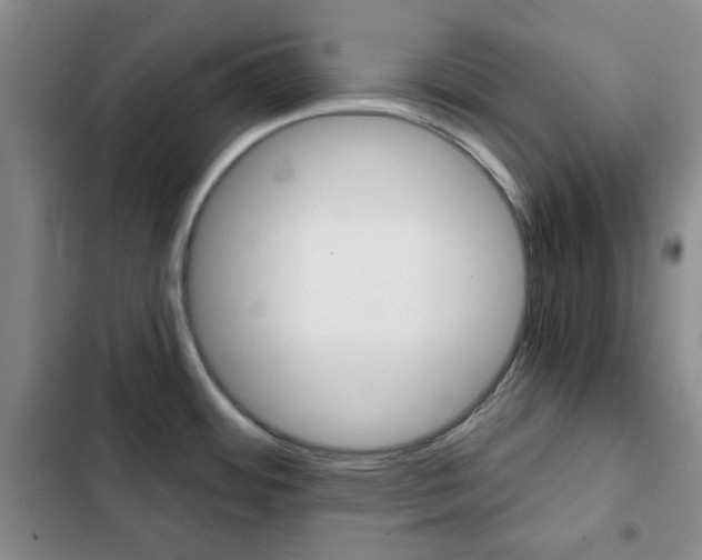 X0000102821484200808181013