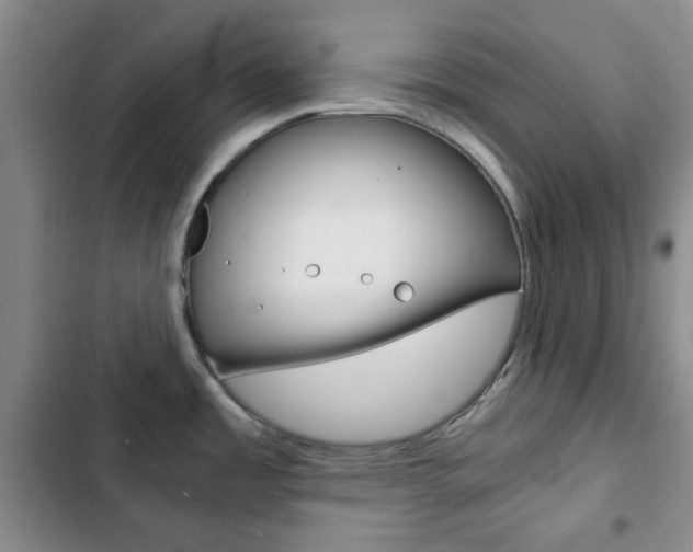 X0000102821485200808181013