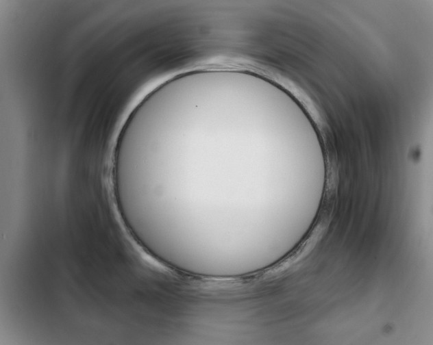 X0000102821486200808181013