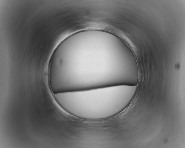 X0000102821487200808181013