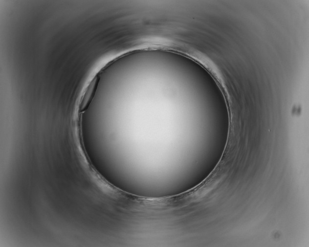 X0000102821488200808181013