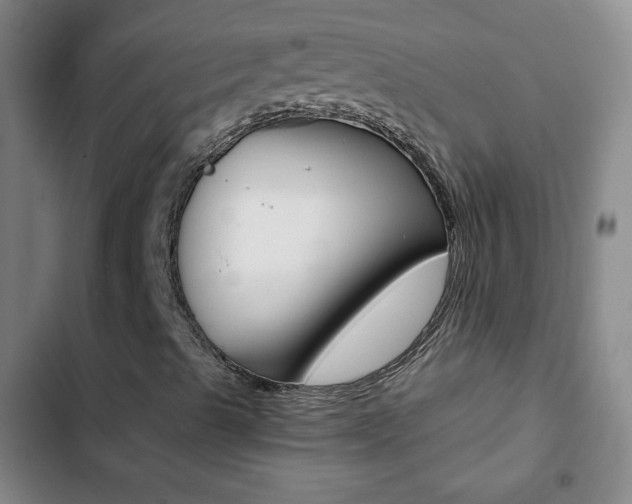 X0000102821489200808181012