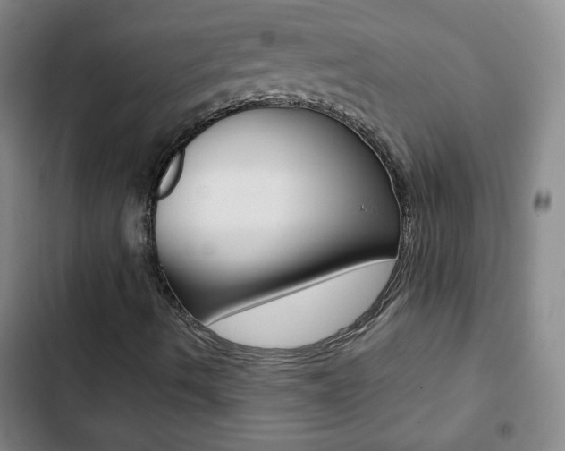 X0000102821490200808181012