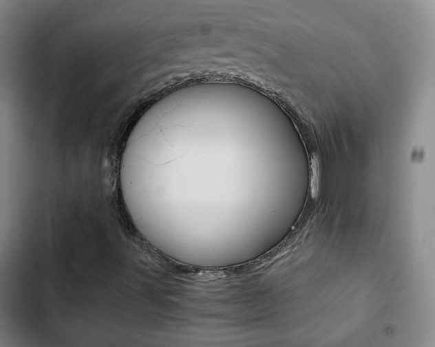 X0000102821491200808181012