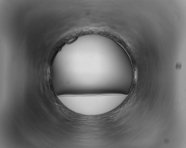 X0000102821492200808181012