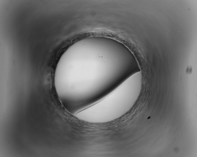 X0000102821493200808181012
