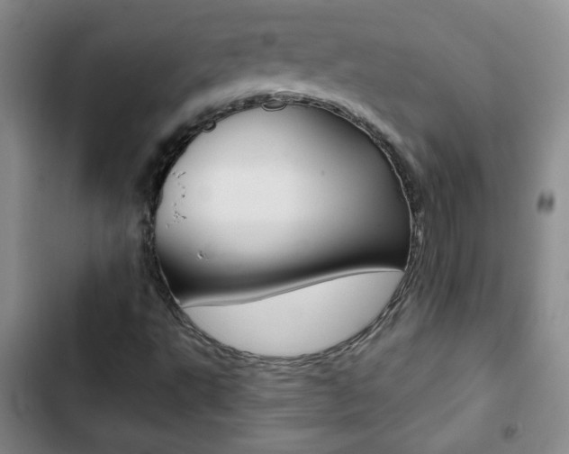 X0000102821495200808181012