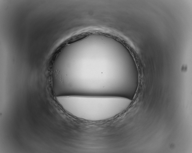 X0000102821496200808181012