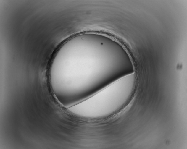 X0000102821497200808181012