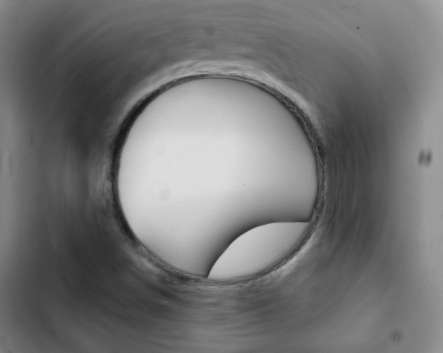 X0000102821498200808181012