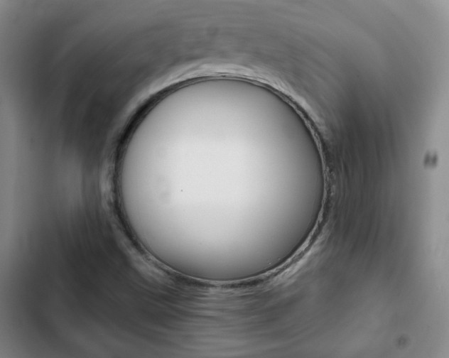 X0000102821499200808181012