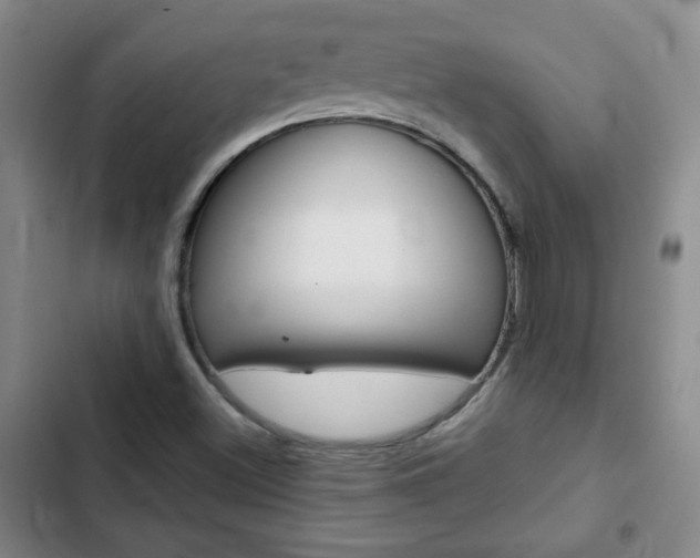 X0000102821500200808181012
