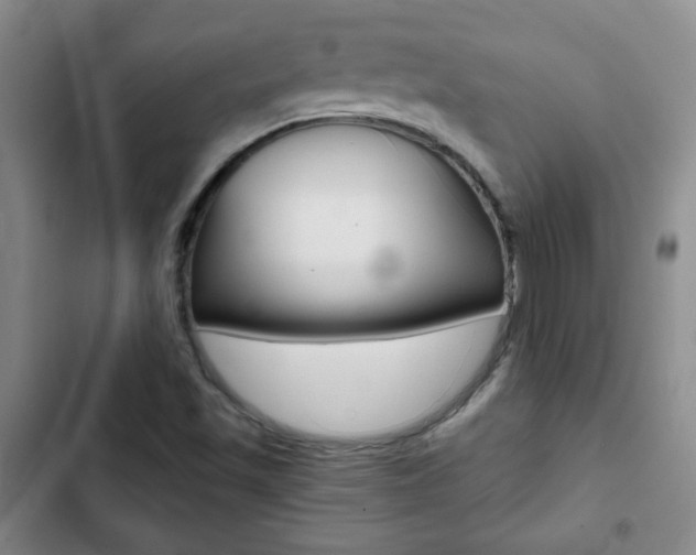 X0000102821501200808181012