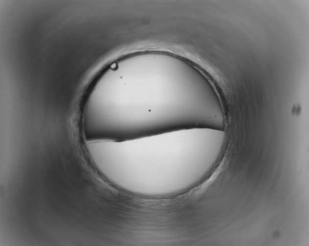 X0000102821502200808181012