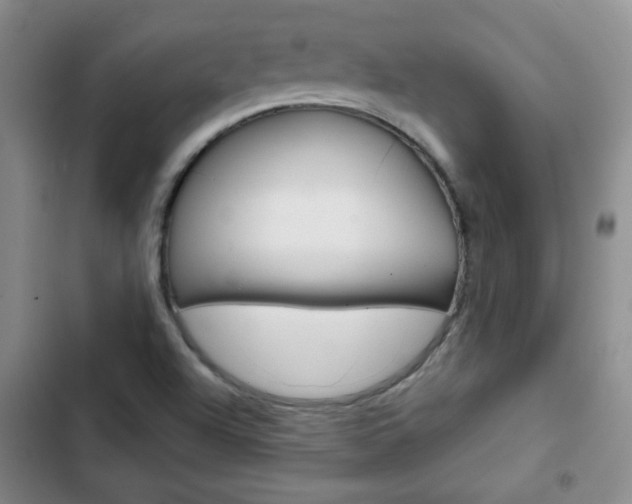X0000102821504200808181012