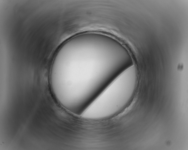 X0000102821505200808181012