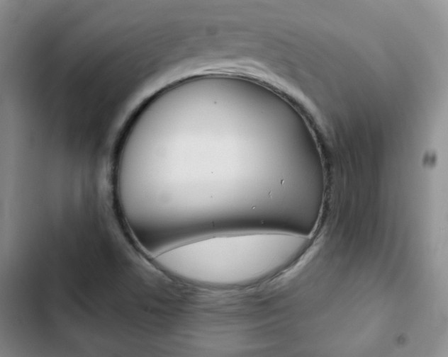 X0000102821506200808181012