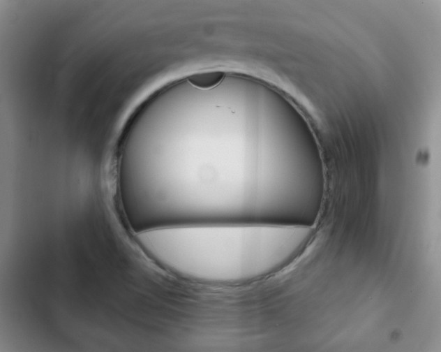 X0000102821510200808181012