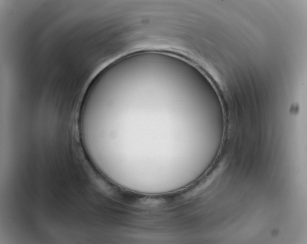 X0000102821513200808181012
