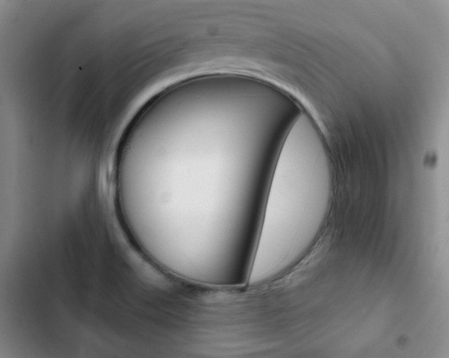 X0000102821515200808181012