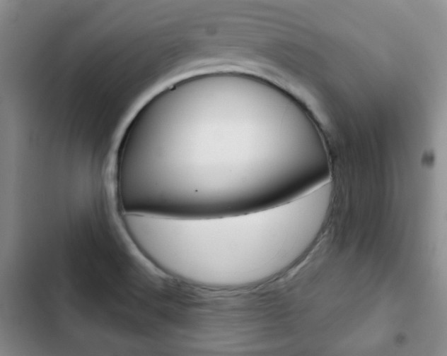 X0000102821516200808181012