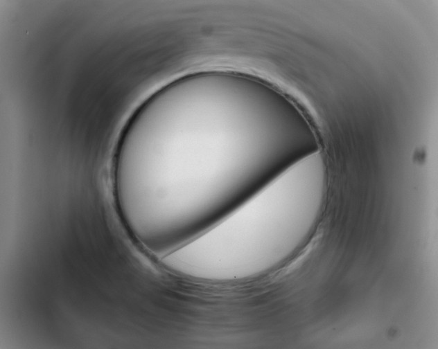 X0000102821517200808181012