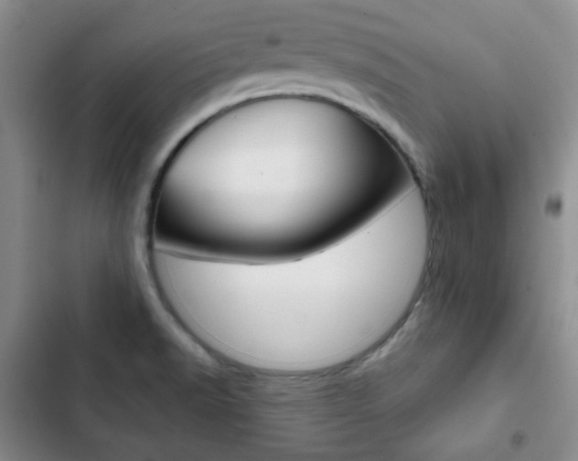 X0000102821518200808181012