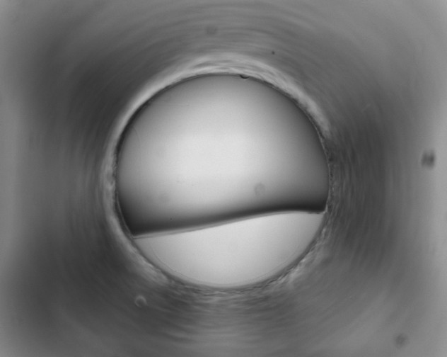 X0000102821522200808181012