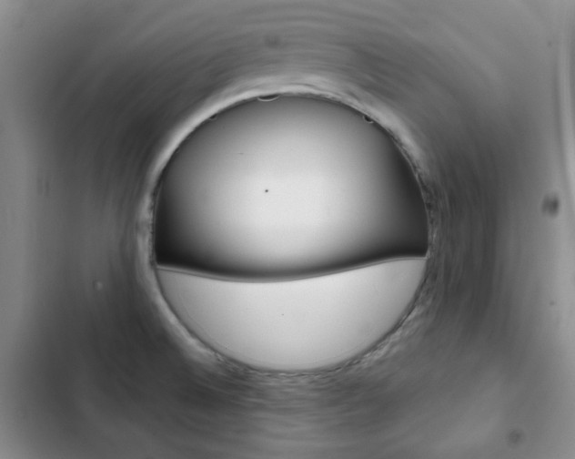 X0000102821524200808181012