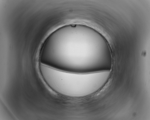 X0000102821525200808181012