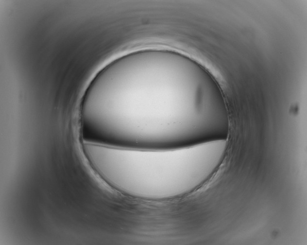 X0000102821526200808181012