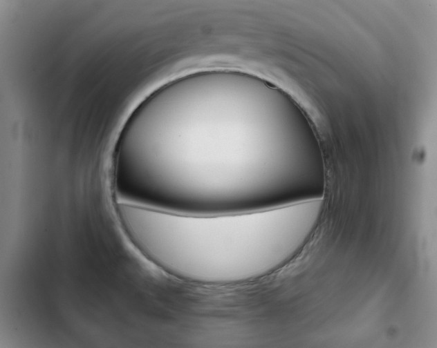 X0000102821527200808181012