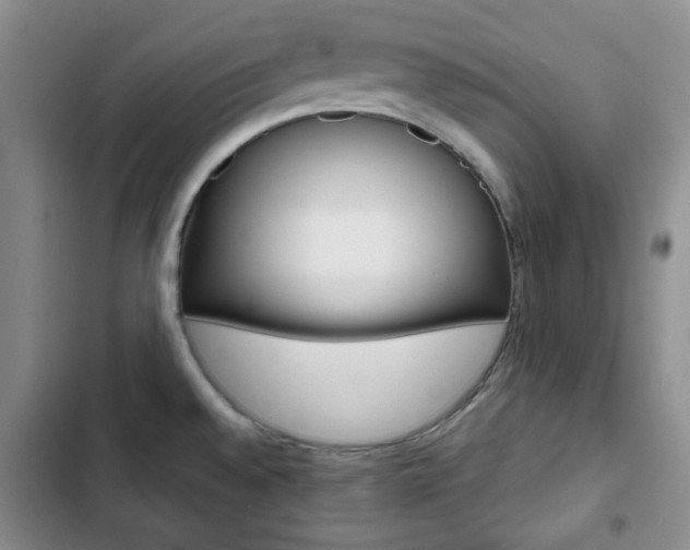 X0000102821528200808181013