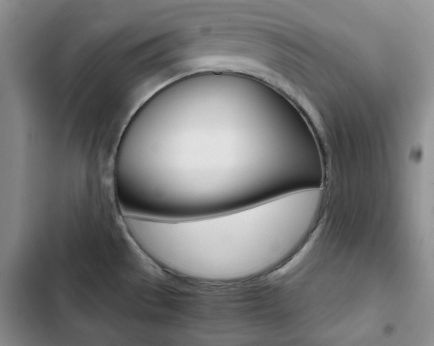 X0000102821529200808181013