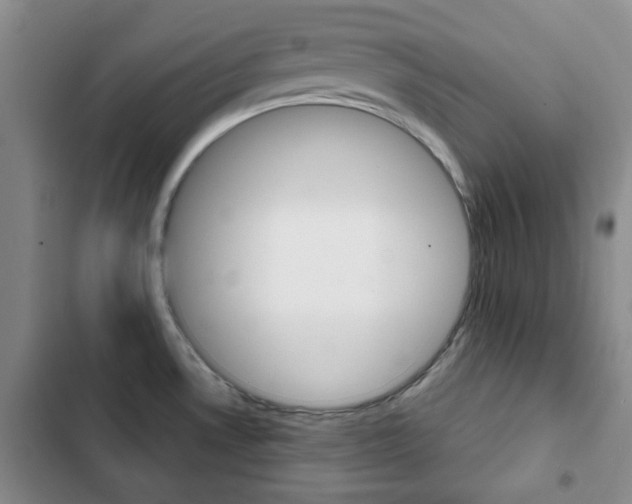 X0000102821530200808181013