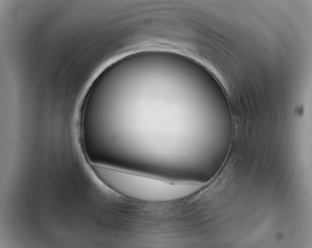 X0000102821531200808181013