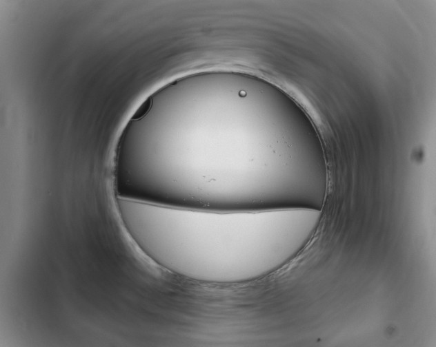 X0000102821532200808181013