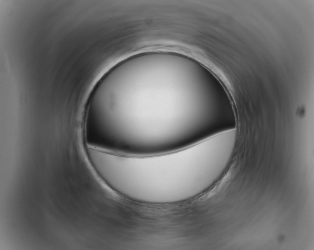 X0000102821533200808181013