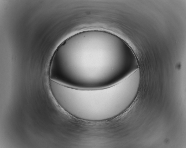 X0000102821534200808181013