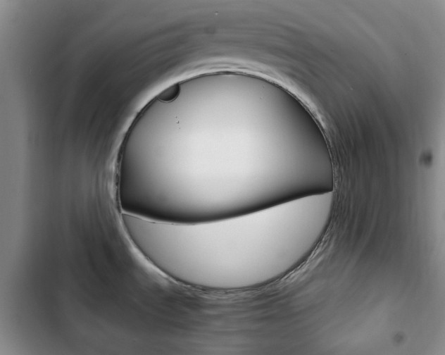 X0000102821535200808181013