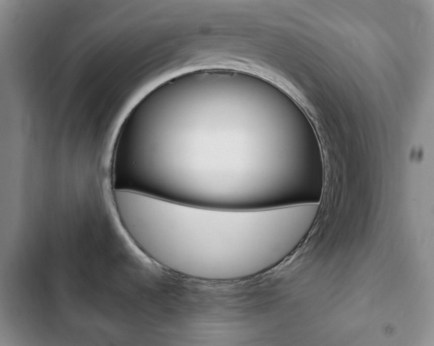X0000102821536200808181013