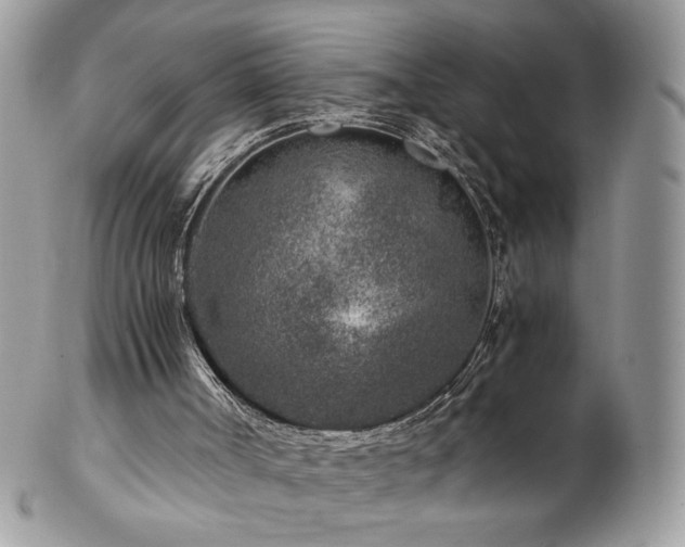 X0000102820002200808181256