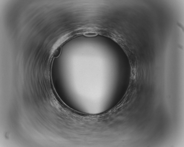 X0000102820004200808181256