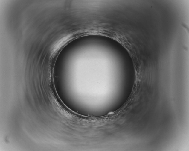 X0000102820005200808181256